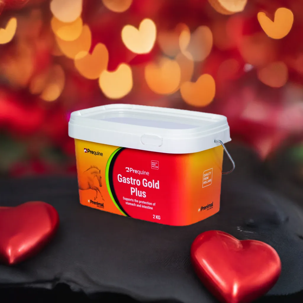 Et produktbillede af Gastro Gold Plus der forebygger mavesår hos heste